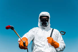 Best Pest Prevention Services  in Willows, CA